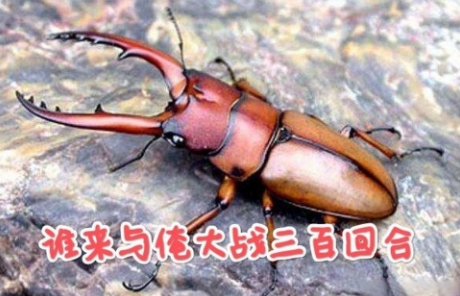 微信截图_20250103183141.png
