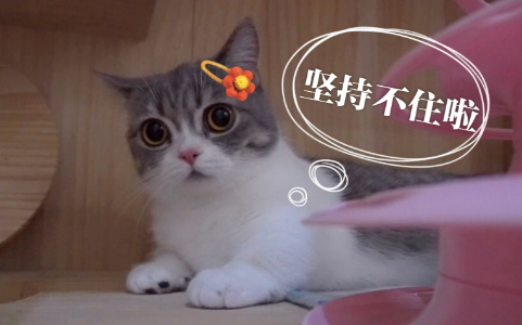 QQ20250110-090118.png