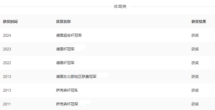团队荣誉1.png