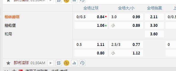 柏林赫塔.jpg