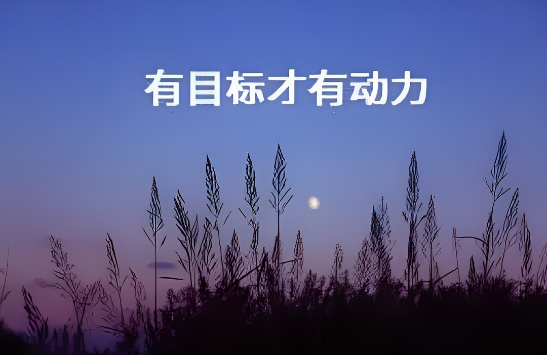 723de0bf-b3b6-4f38-8b5e-1297f26deec6.jpg