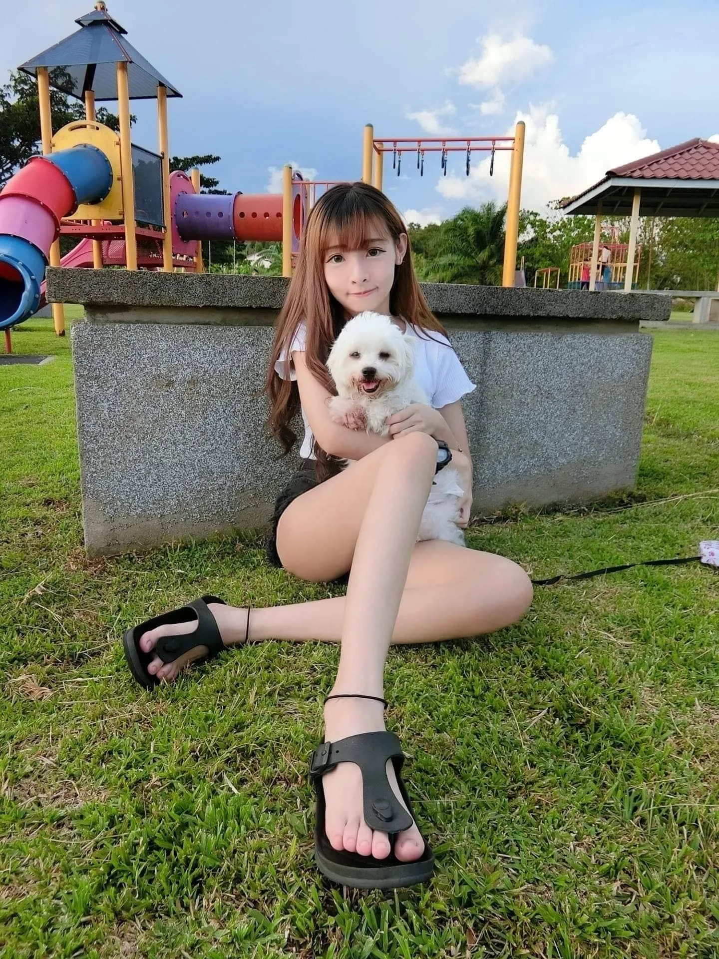 4406881.webp