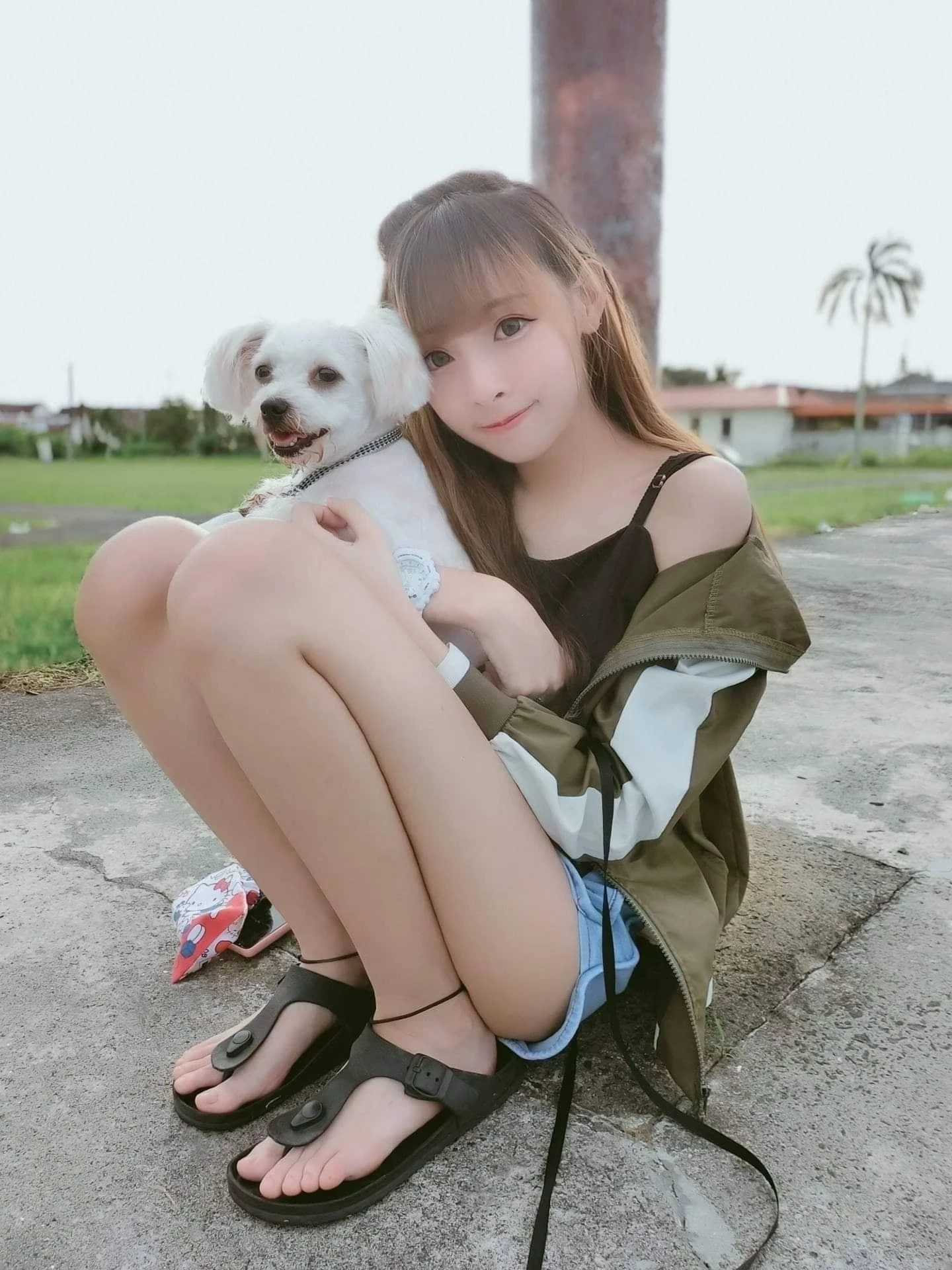 4406882.webp
