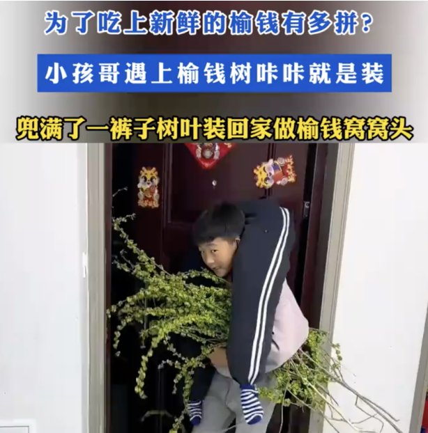 QQ_1743384754910.png QQ_1743384754910.png
