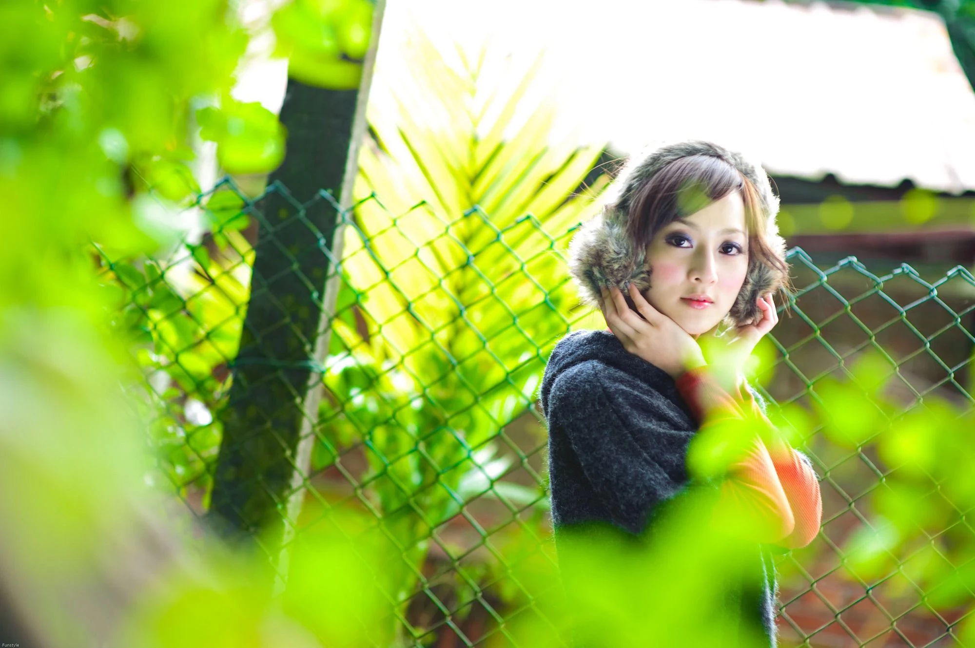 30716617.webp