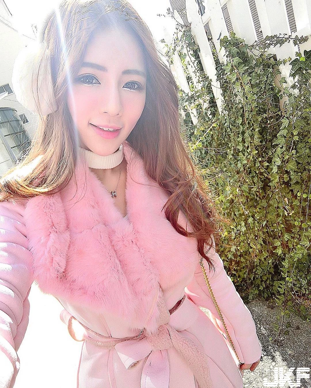 16801077.webp