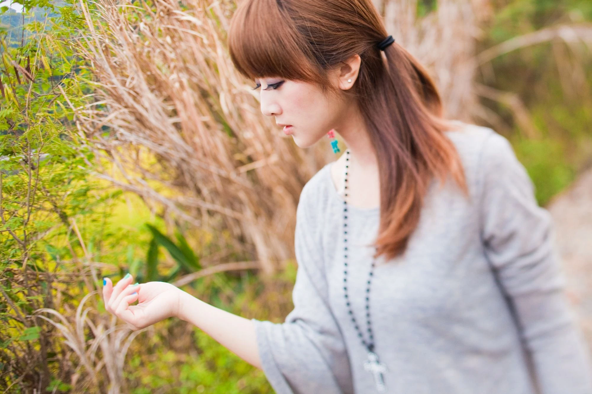 30716700.webp