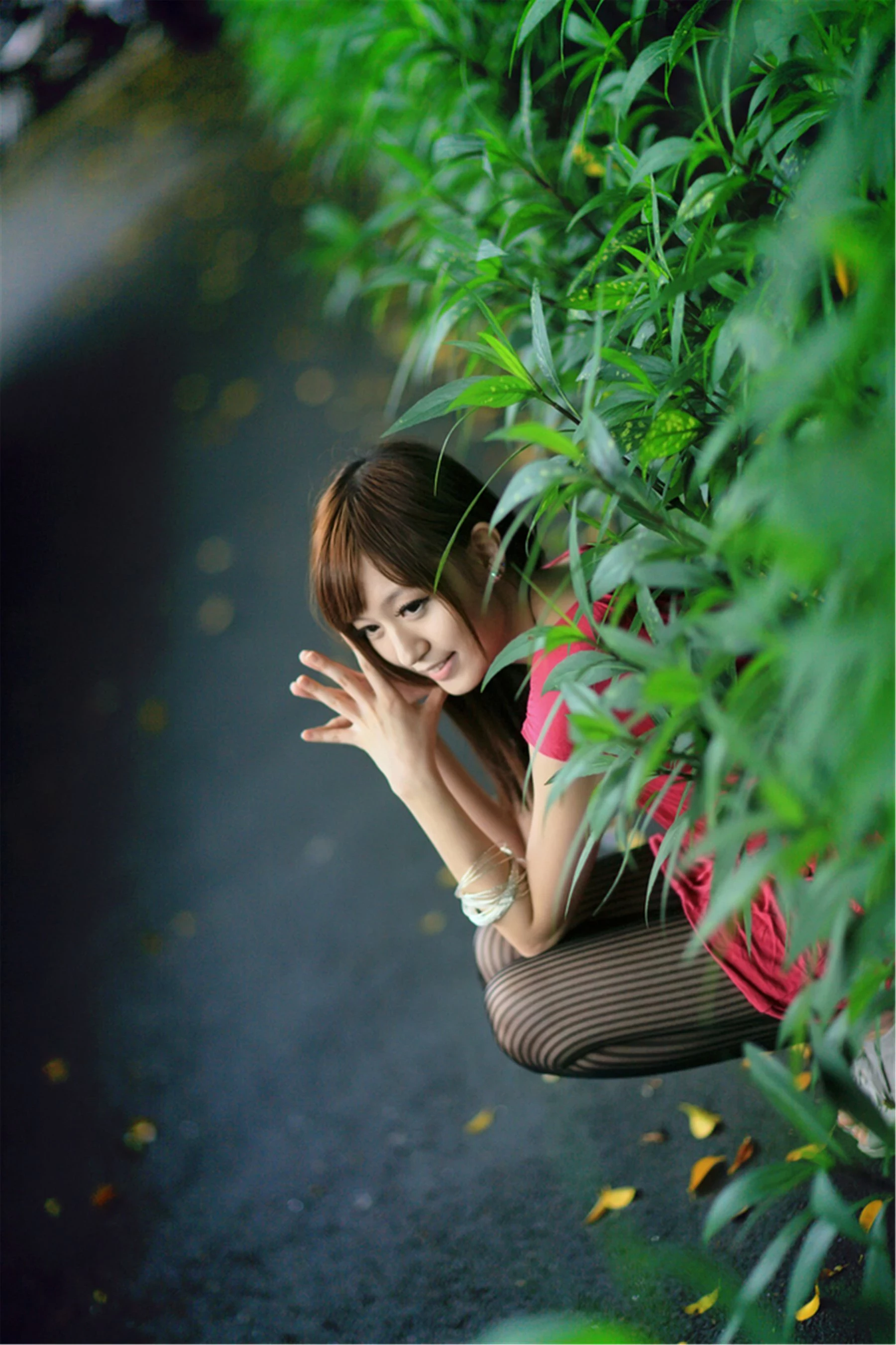 30744630.webp