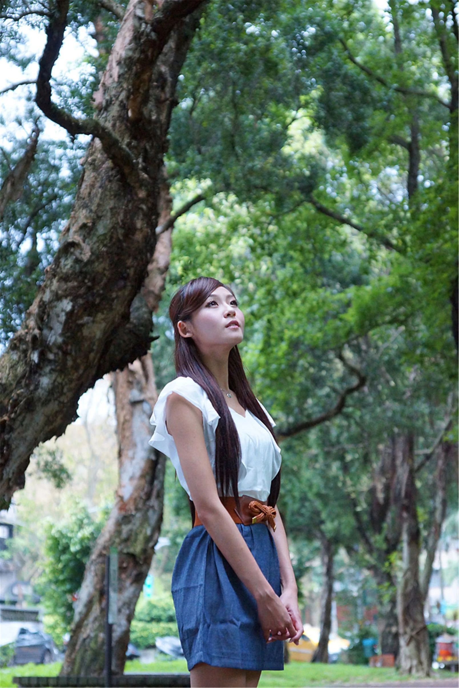 30768855.webp