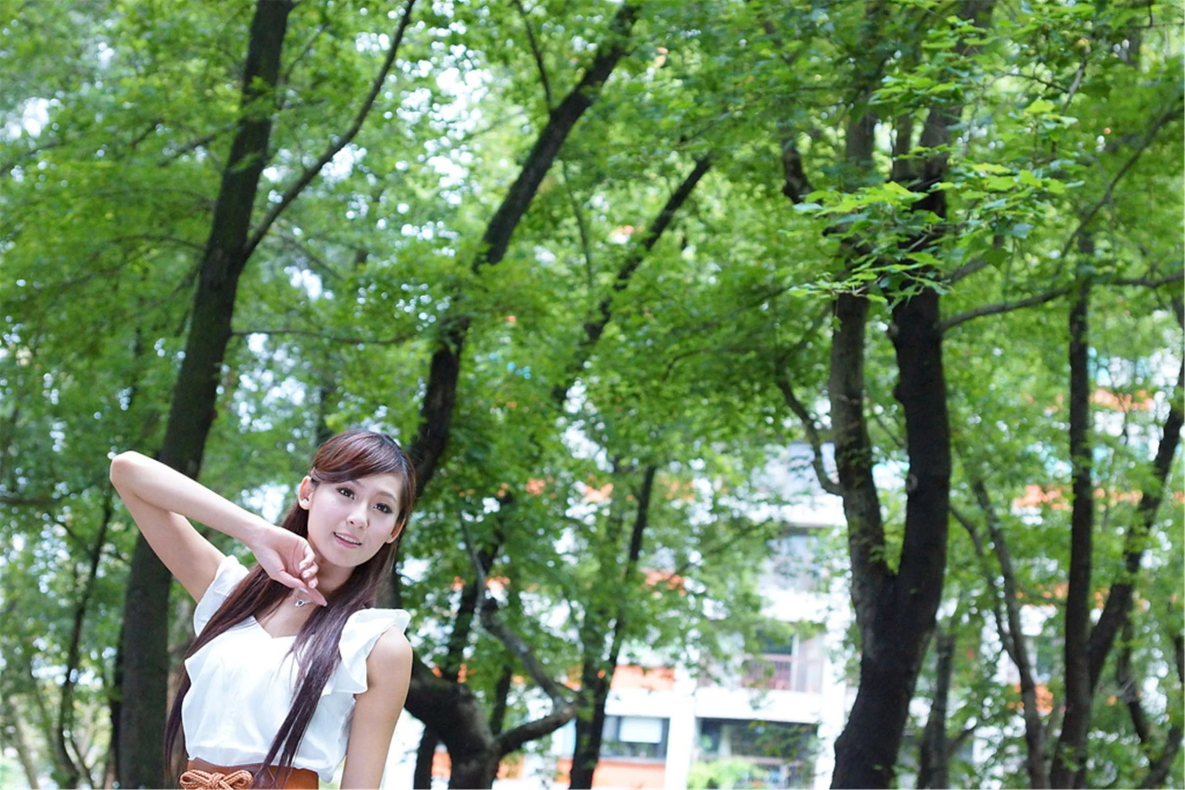 30768858.webp