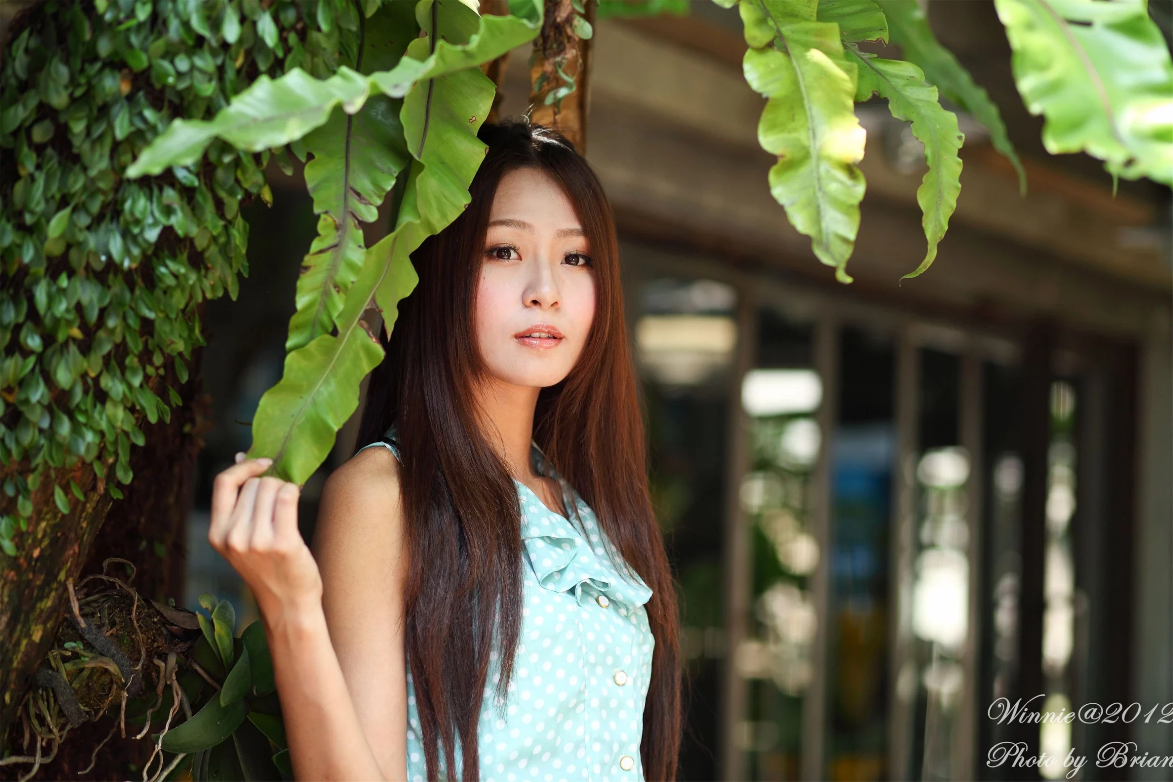 171206qqzkx3tmjqj41kxy.webp