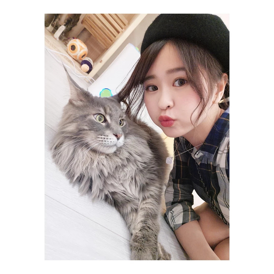 132344q6ozs6ddzs65ppsx.webp