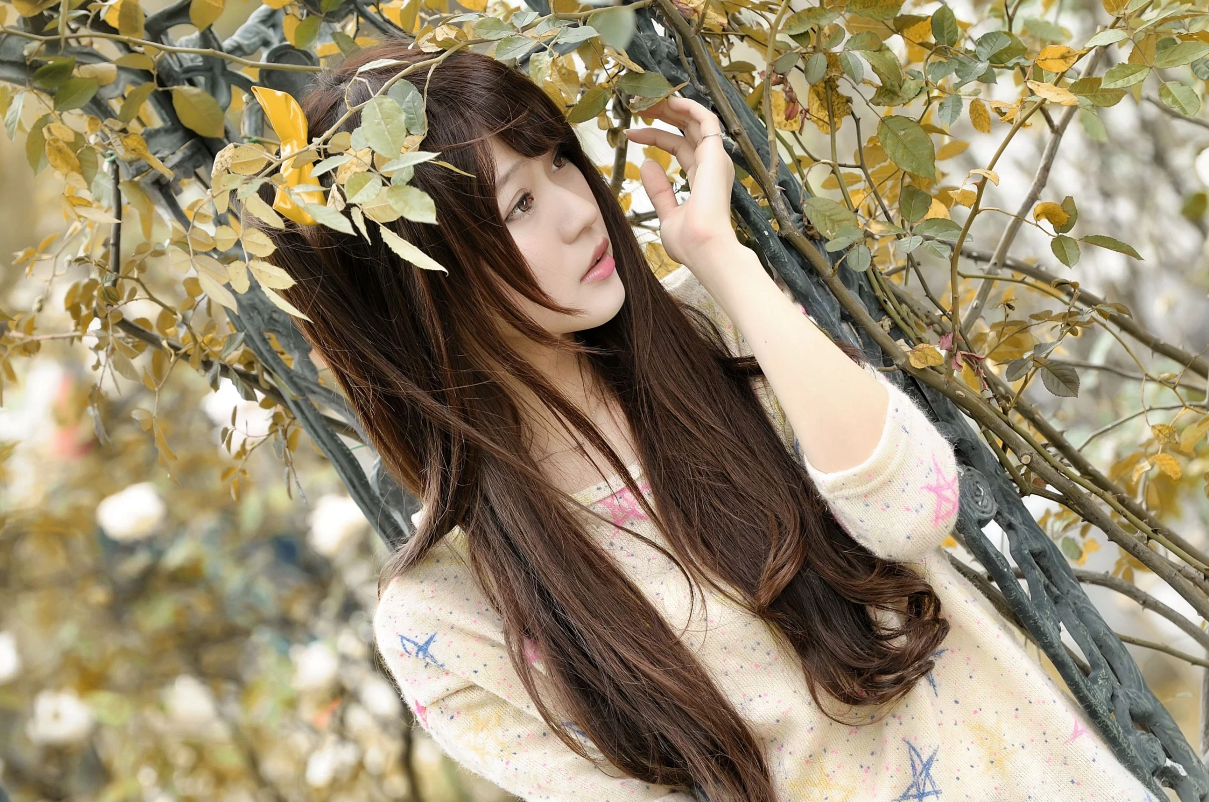 190044s50davd2l9s0sla5.webp