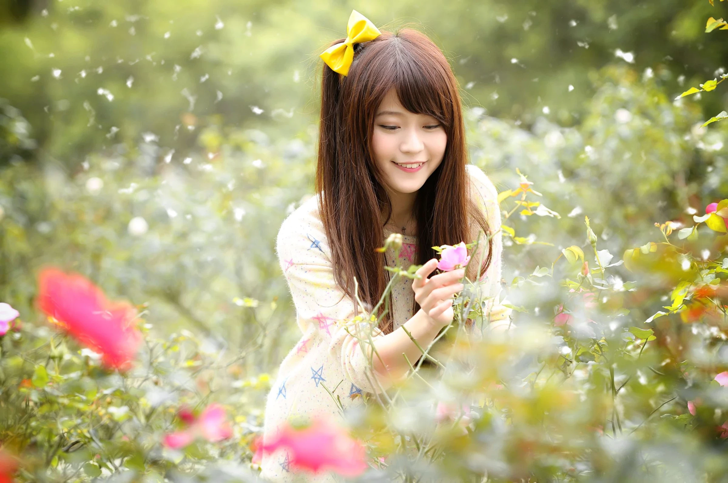190056p1mvu11d6pdr7164.webp