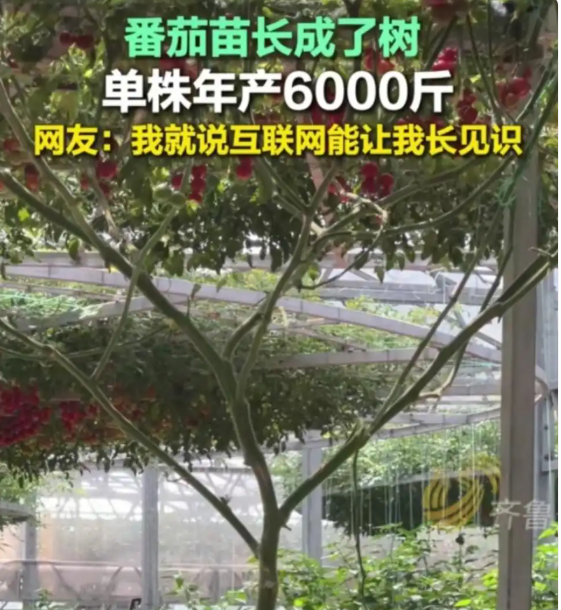 d61d5cb3-2157-48ef-b84e-4e32ae44b98f.png