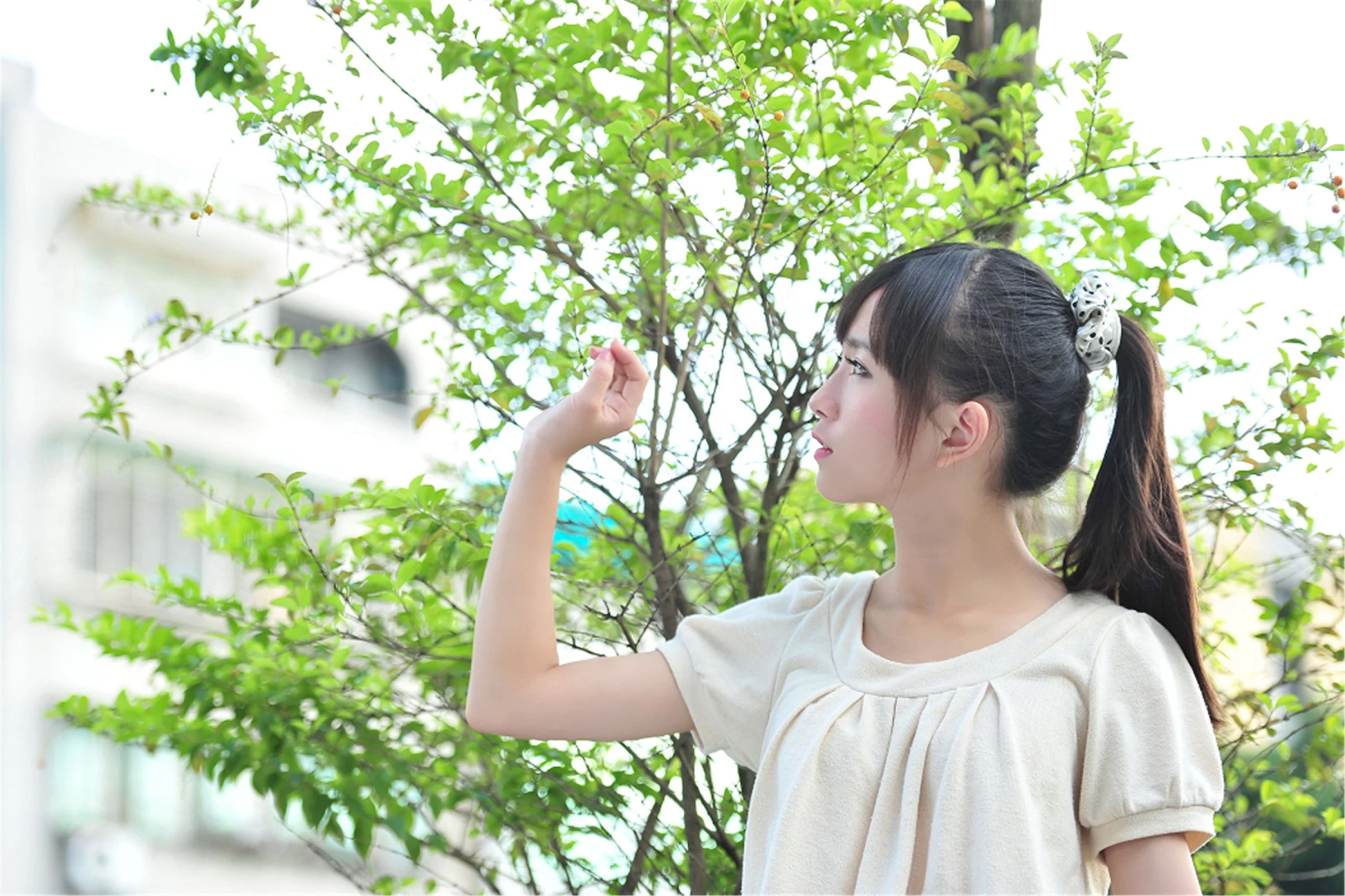 175926pkr9s3q9kn79gk47.webp