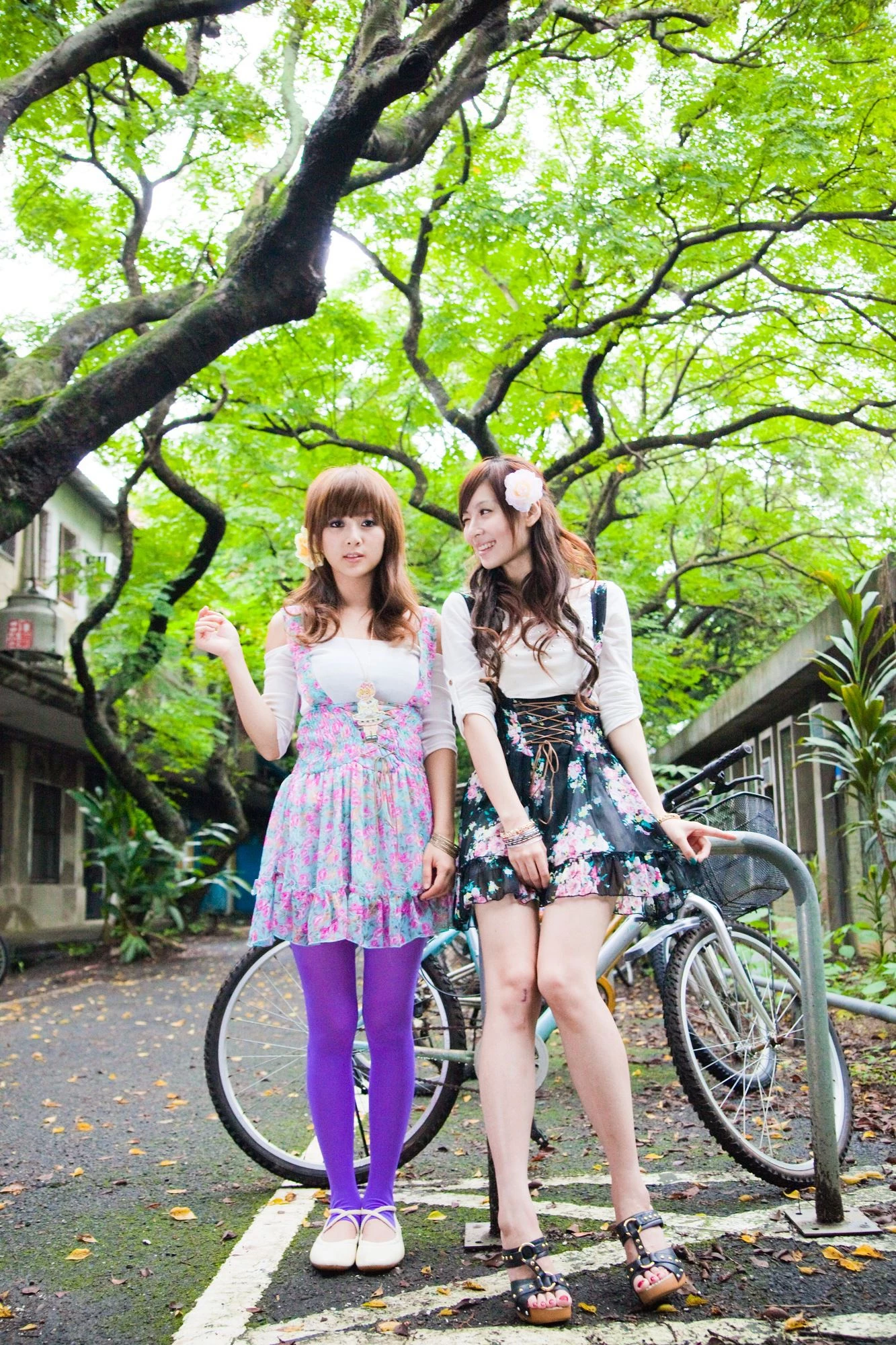 175128u56b41jqt8aahz5o.webp