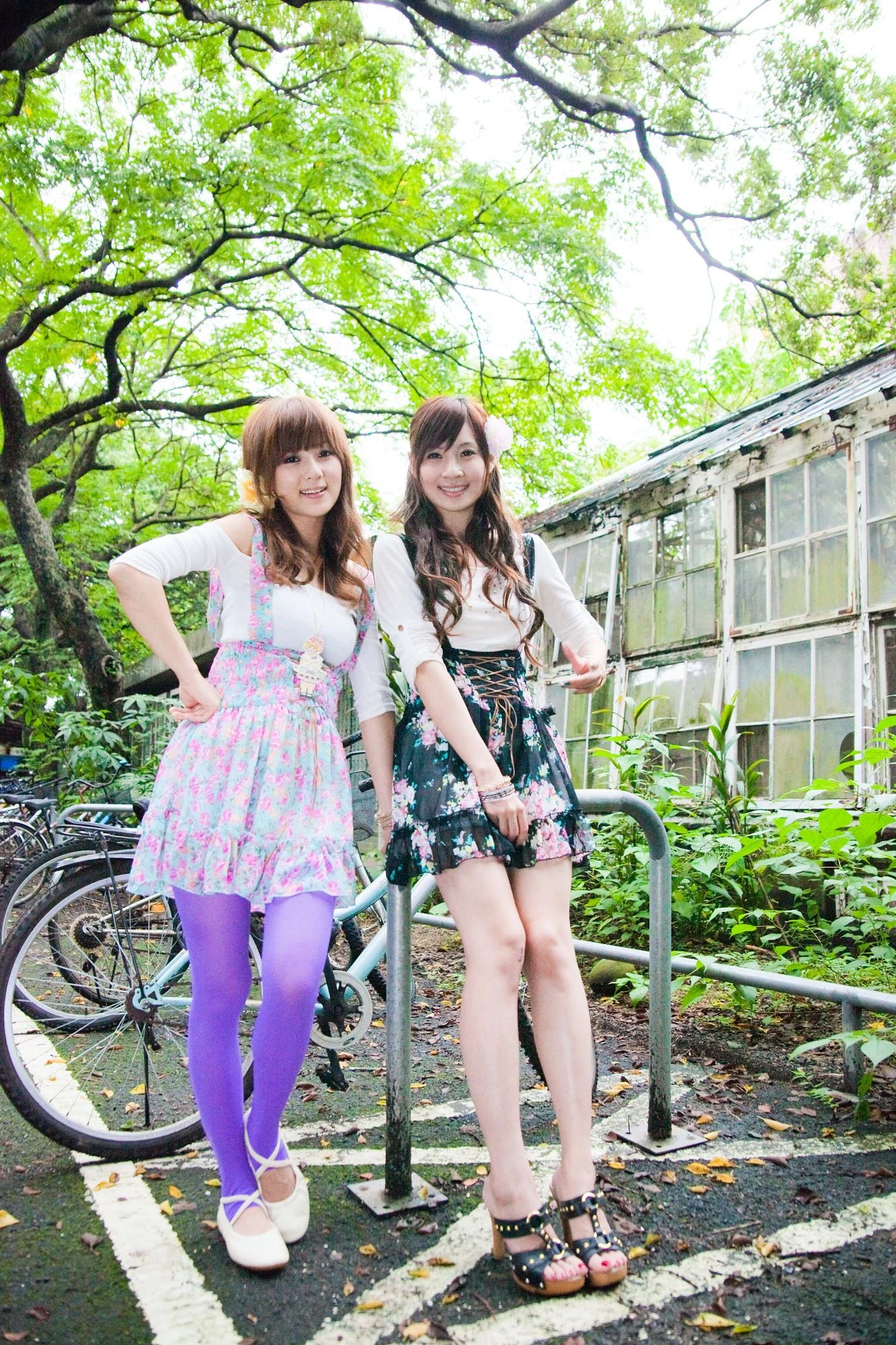 175137hztdjwbgdm4czmlb.webp