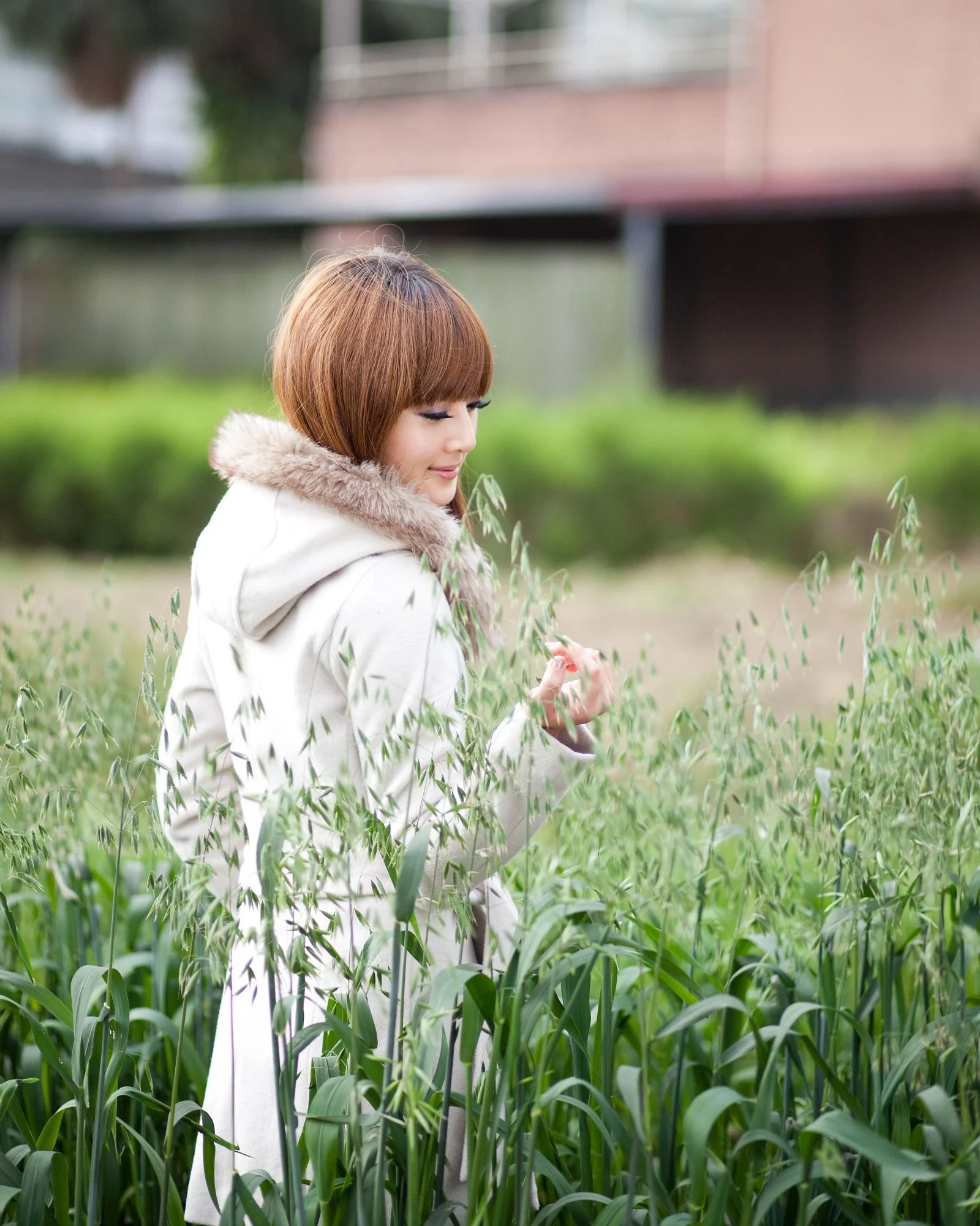 184912ml98hh3900g013zs.webp