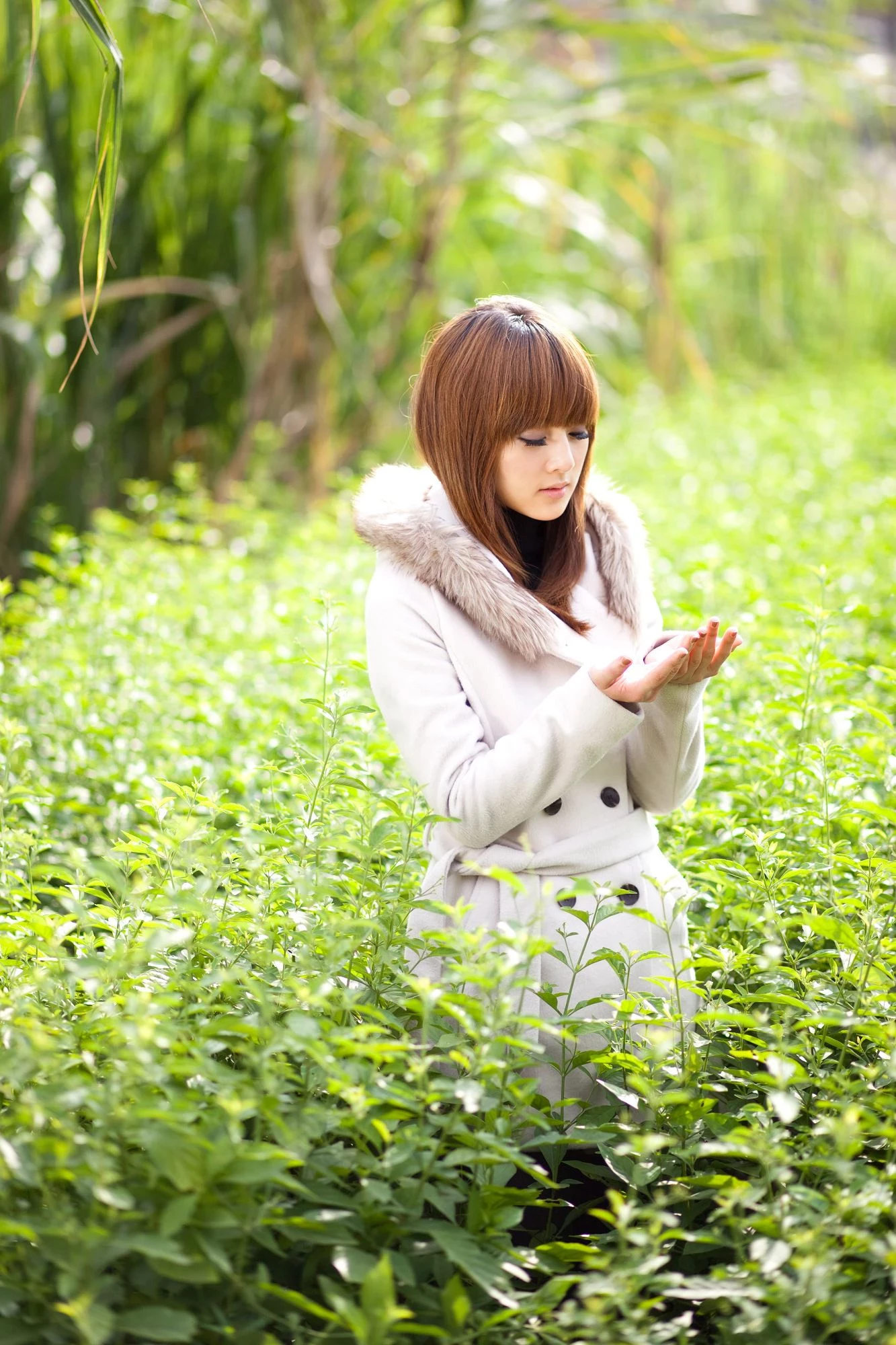184933zj3el33eglz3lj4q.webp