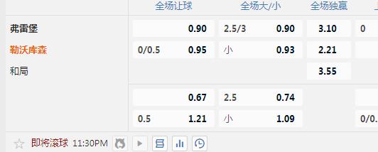 勒沃库森.jpg