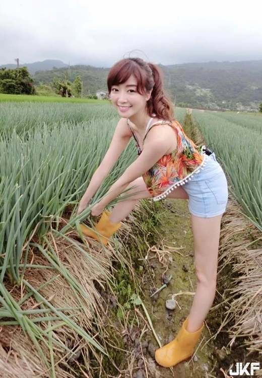 16881436.webp