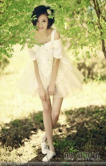 17481728.webp