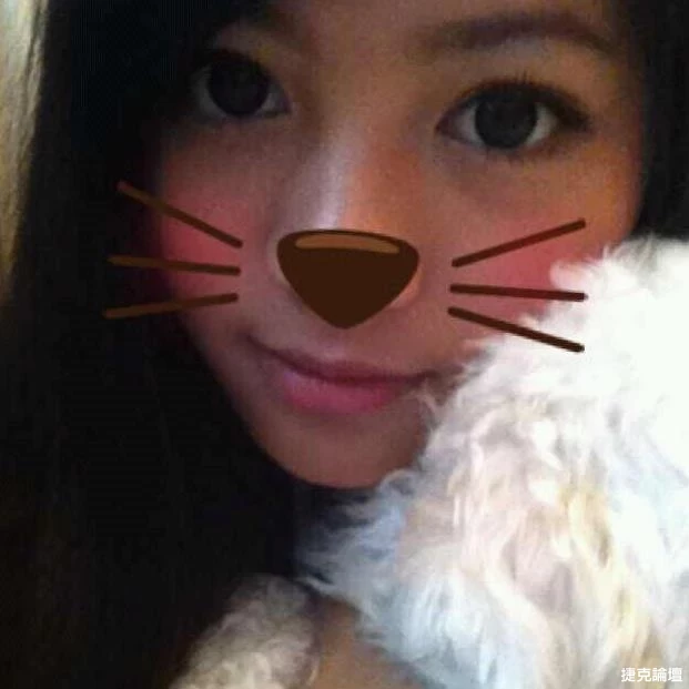 17402288.webp