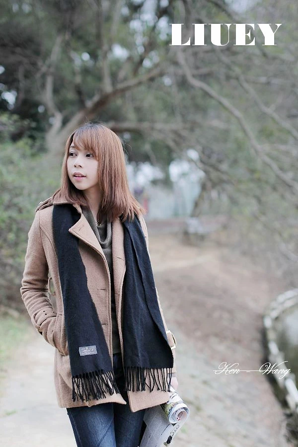 17803375.webp
