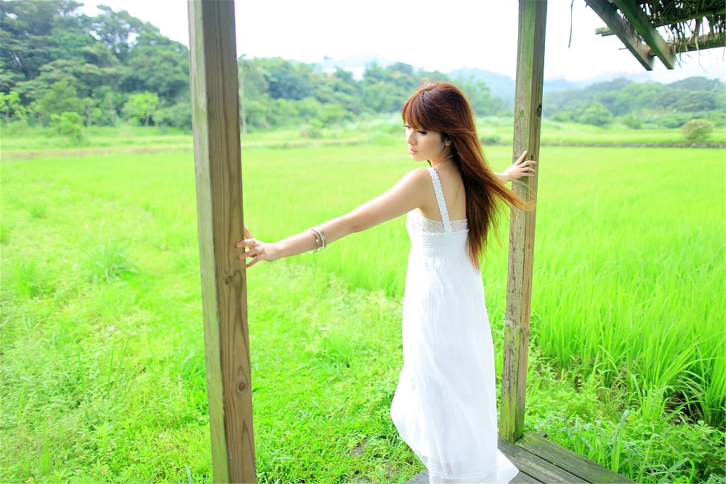 30743002.webp