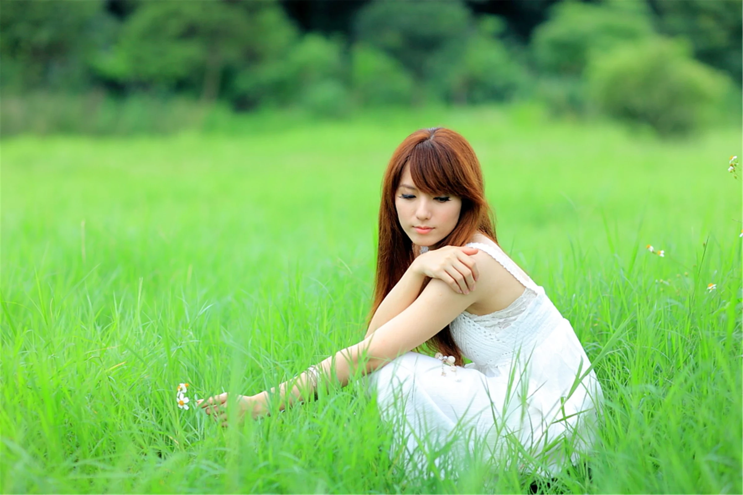 30743016.webp