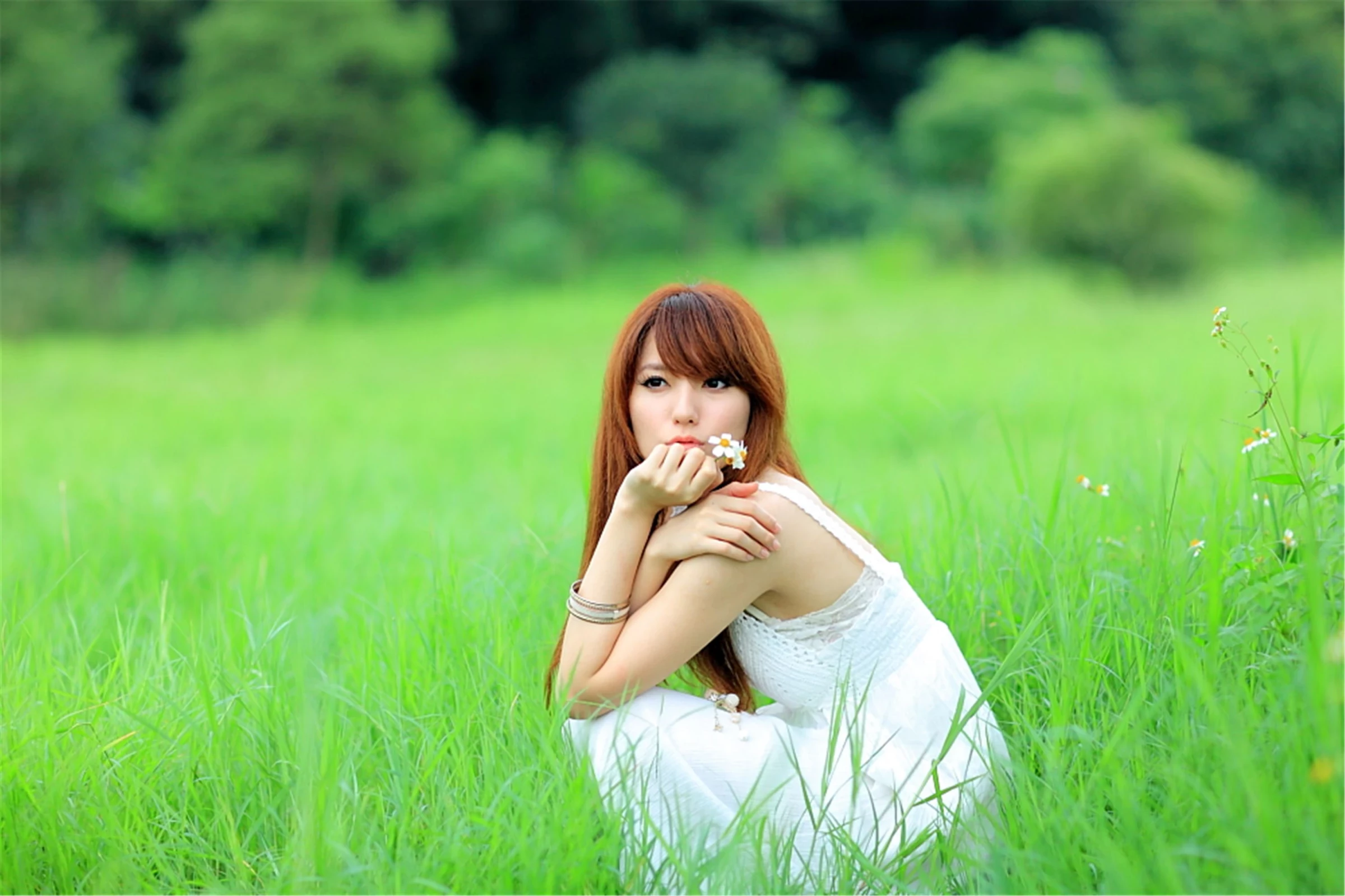30743019.webp