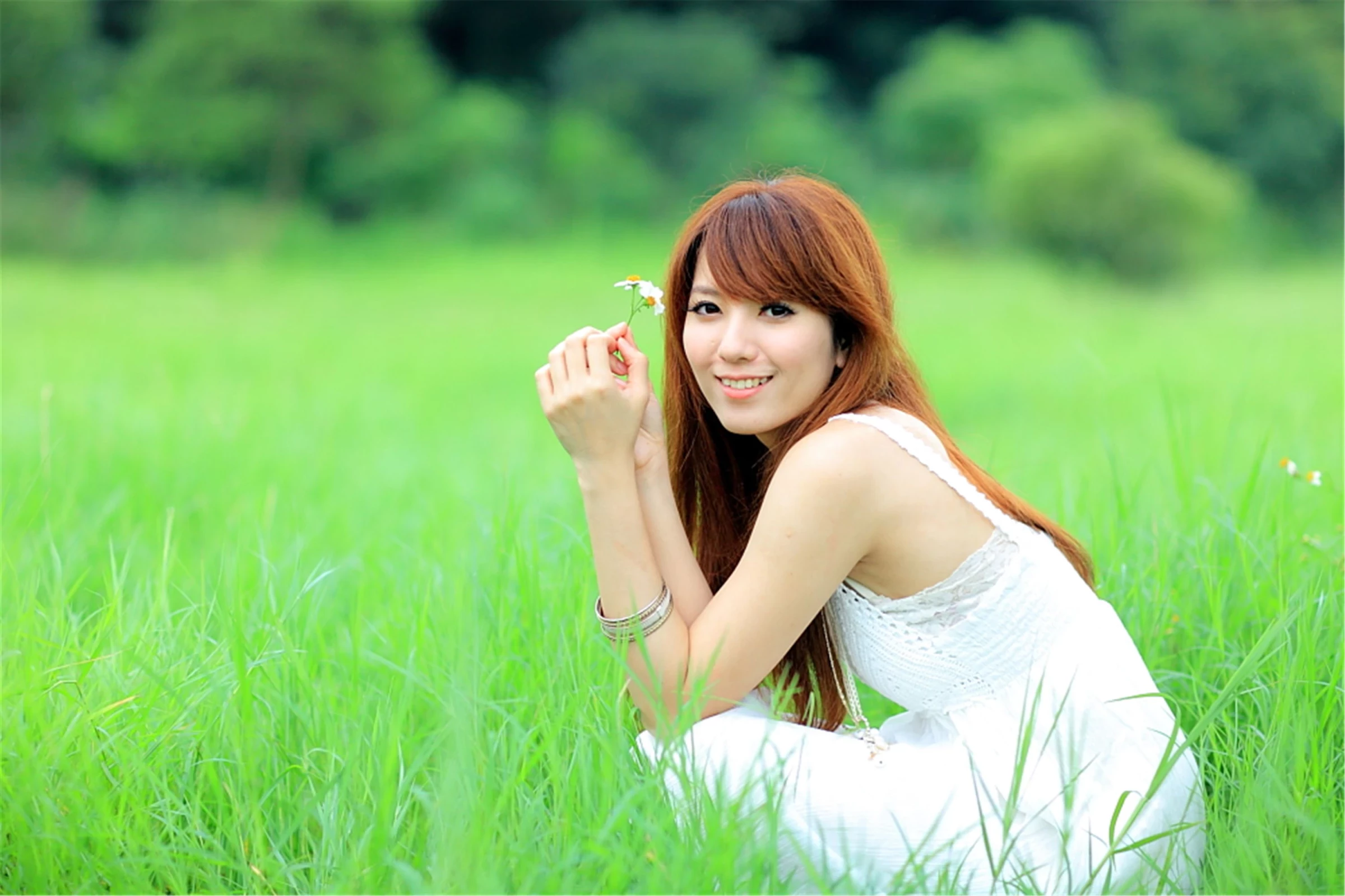 30743020.webp