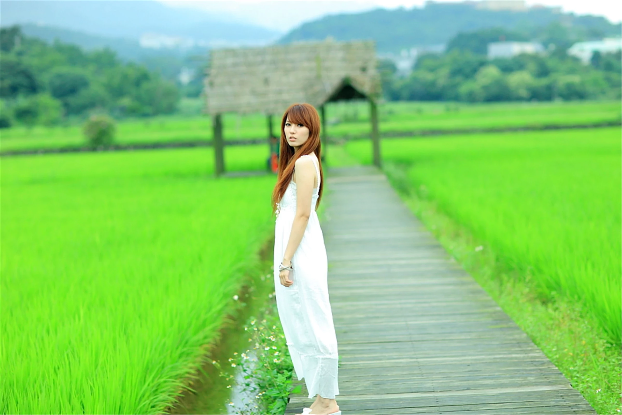 30743025.webp