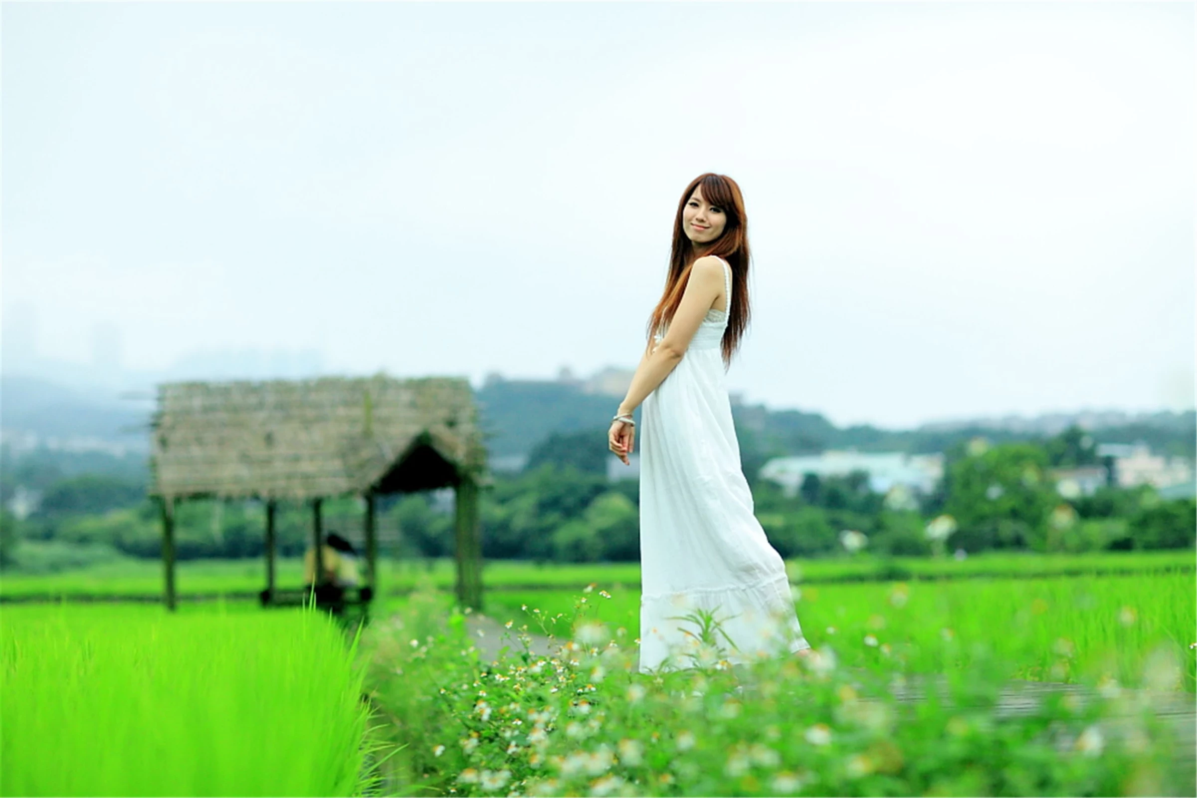 30743028.webp