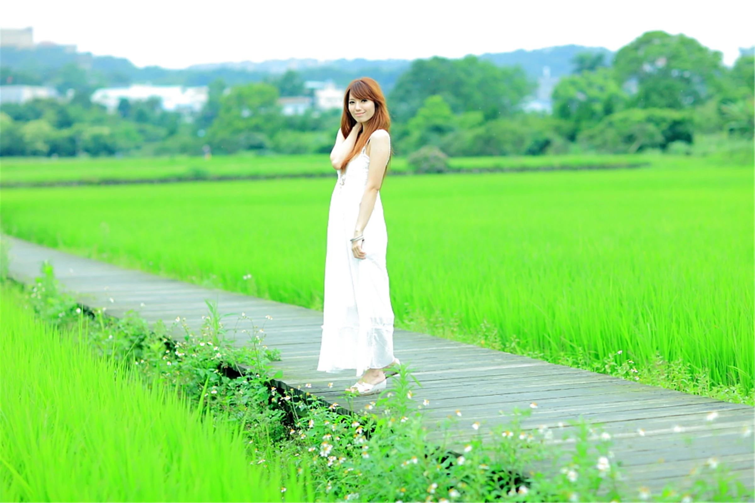 30743030.webp