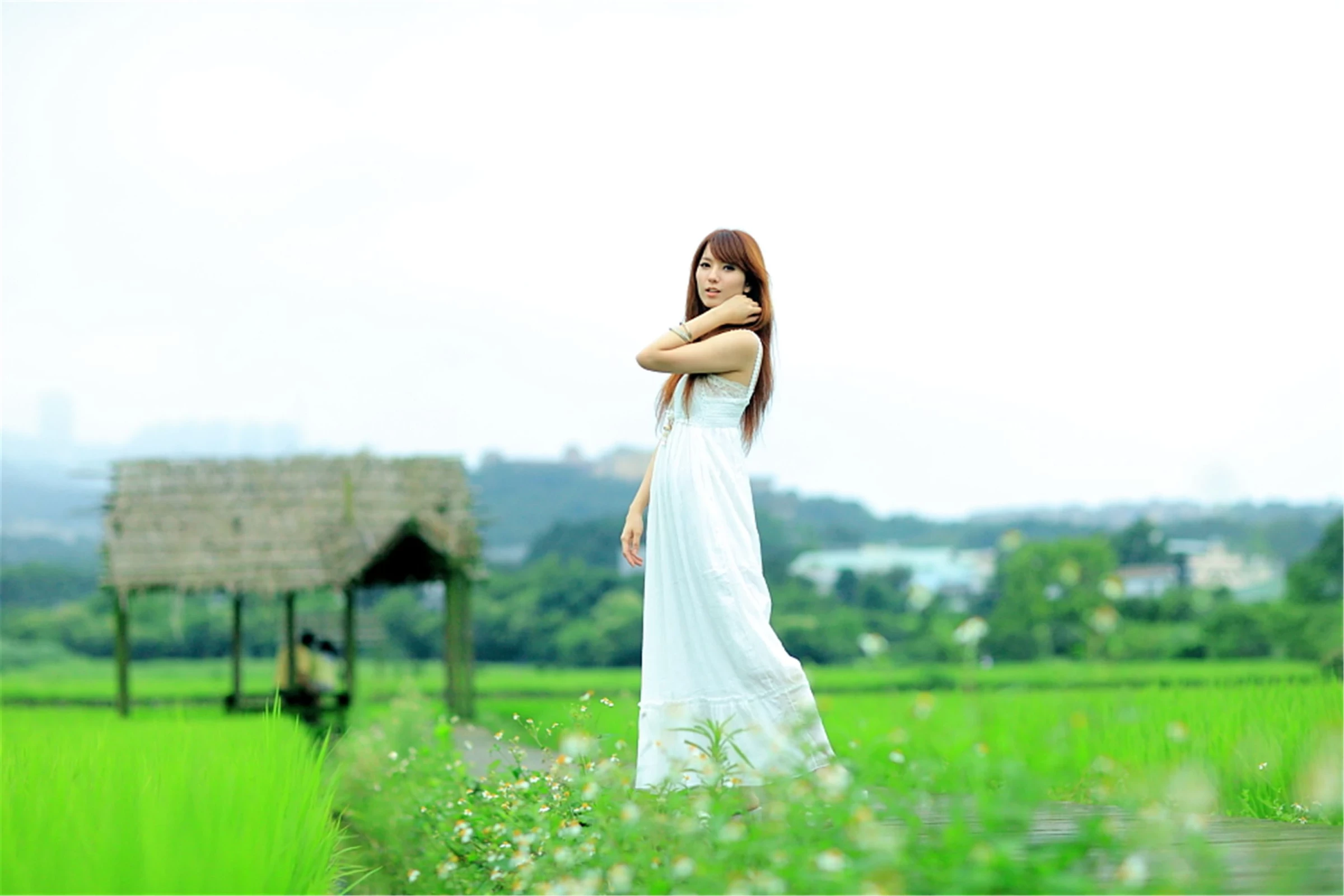 30743029.webp