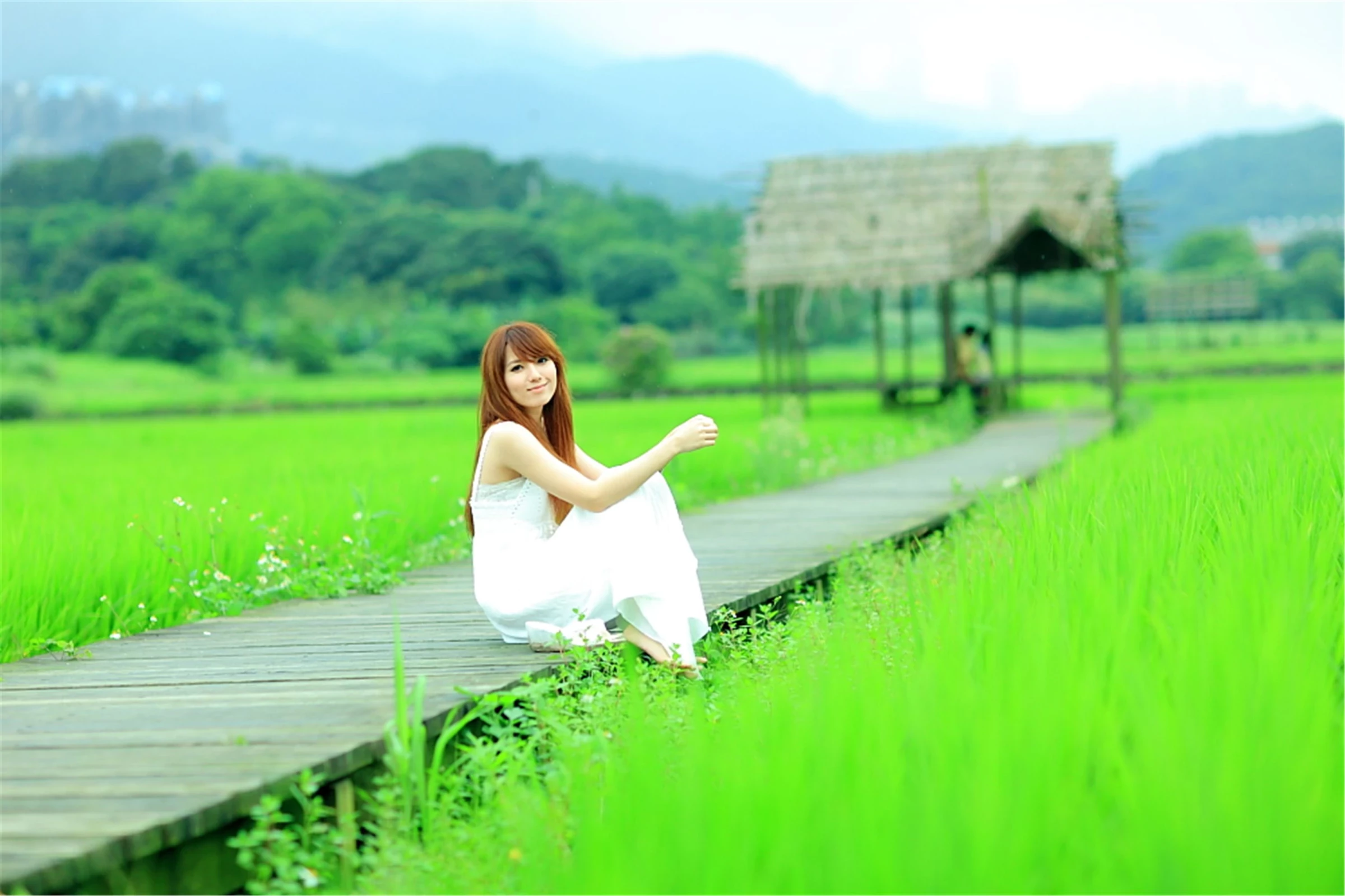 30743031.webp