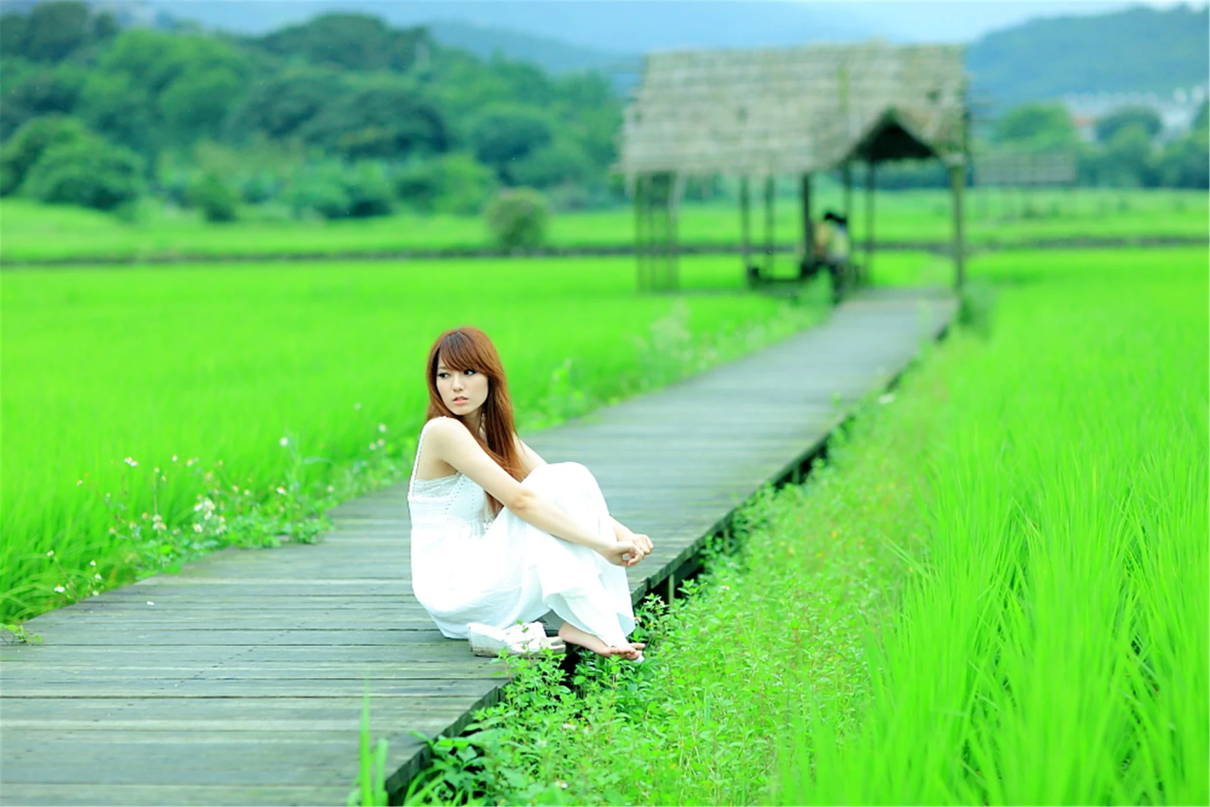 30743034.webp