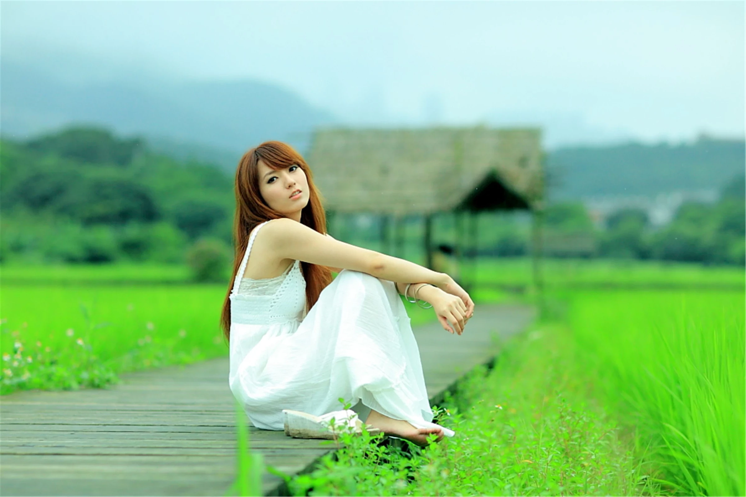 30743036.webp
