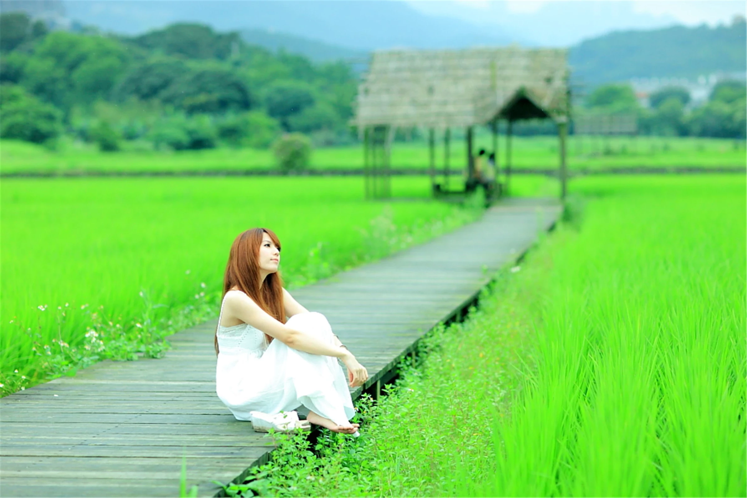 30743035.webp