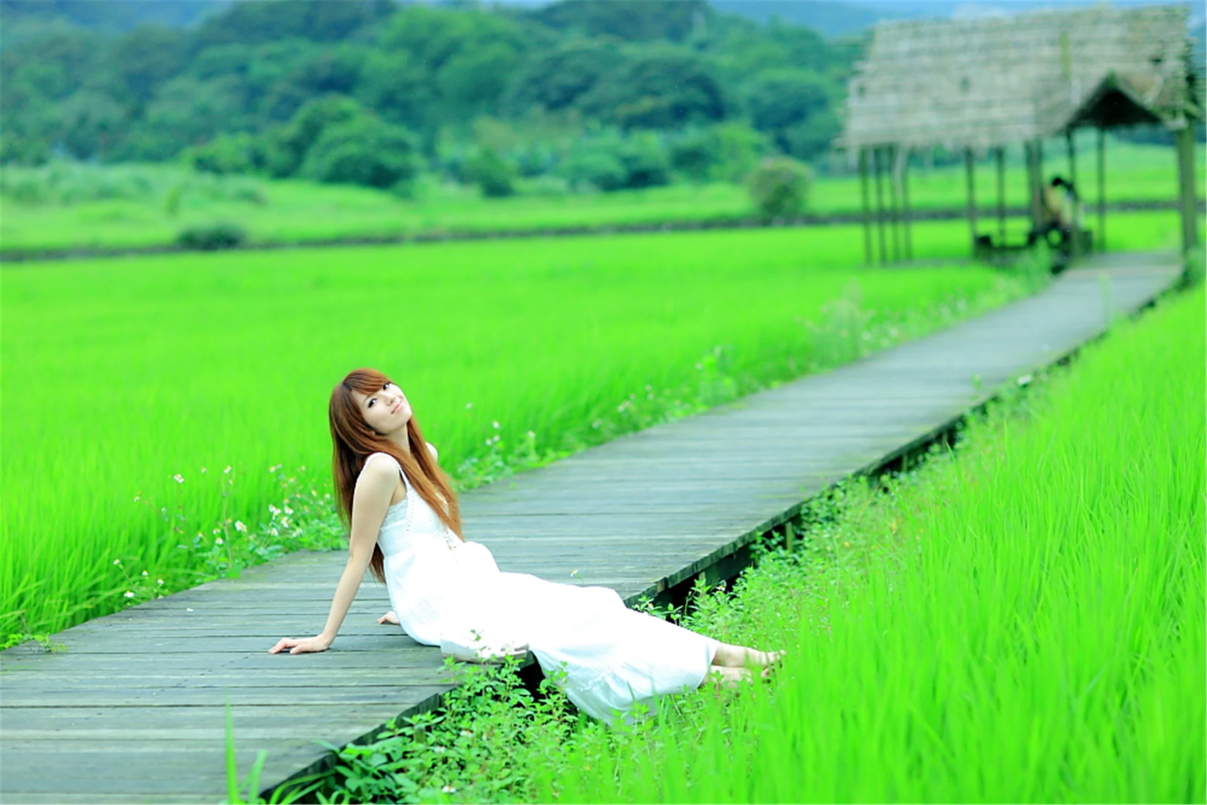 30743039.webp