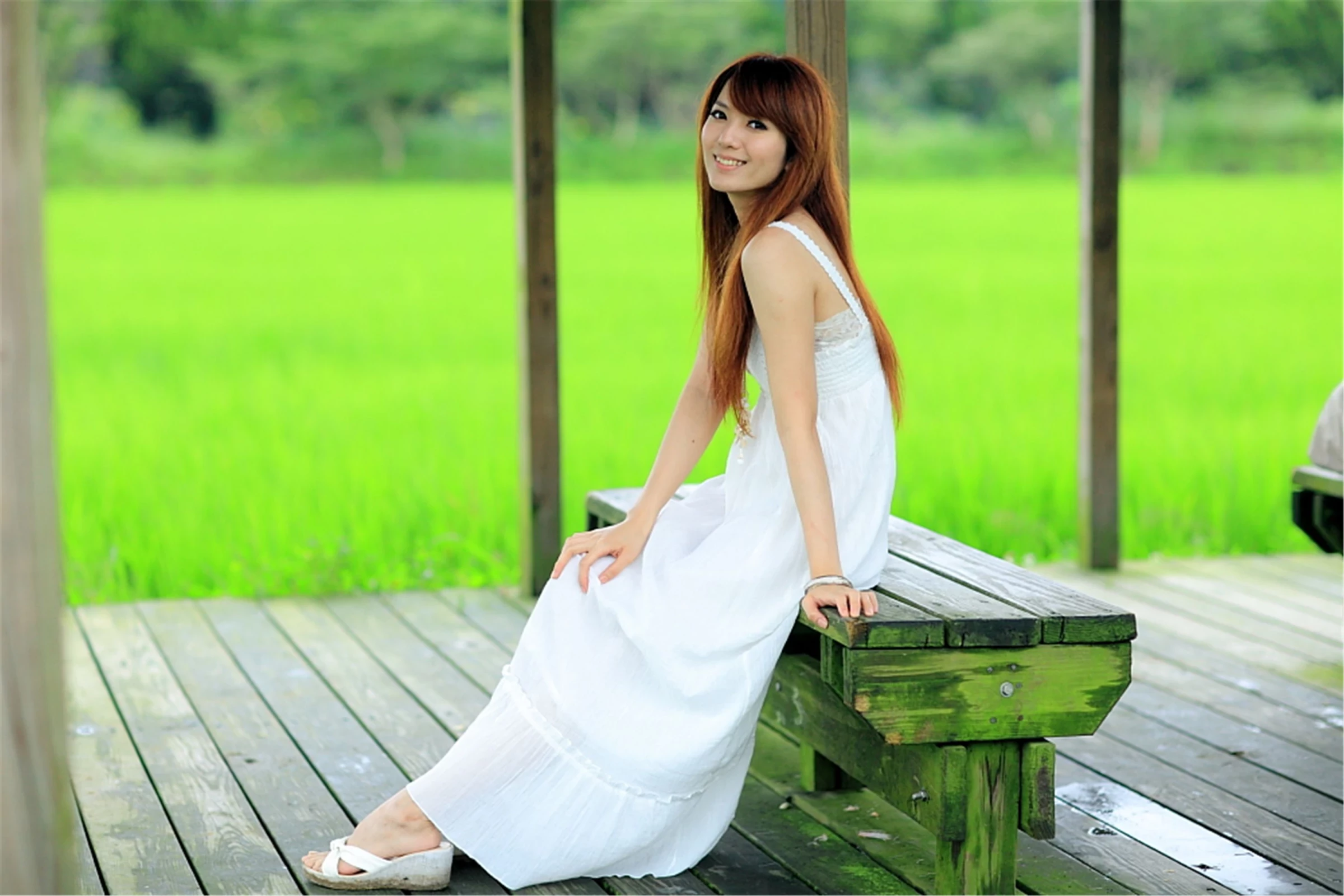 30743042.webp