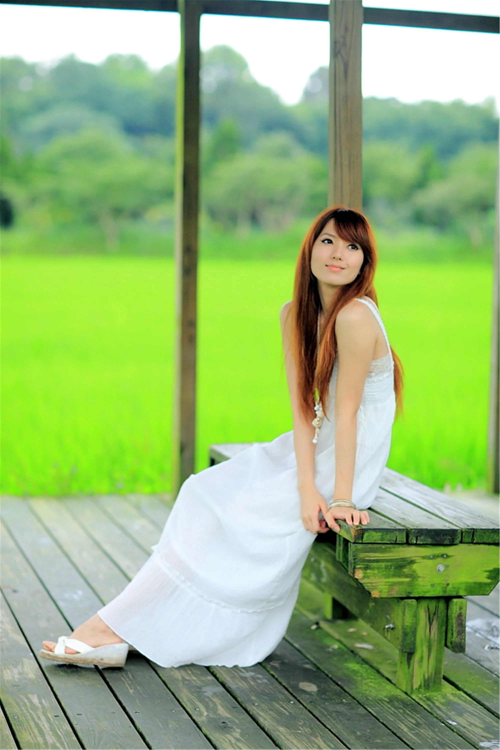 30743043.webp