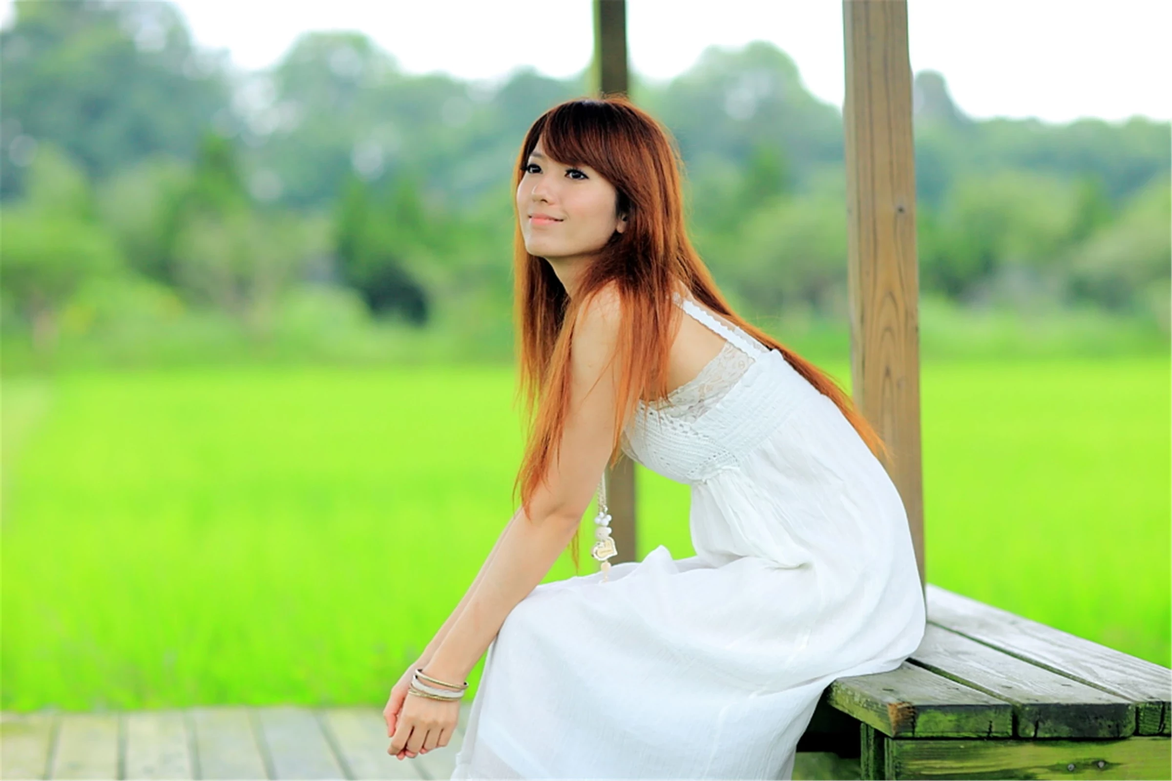 30743045.webp