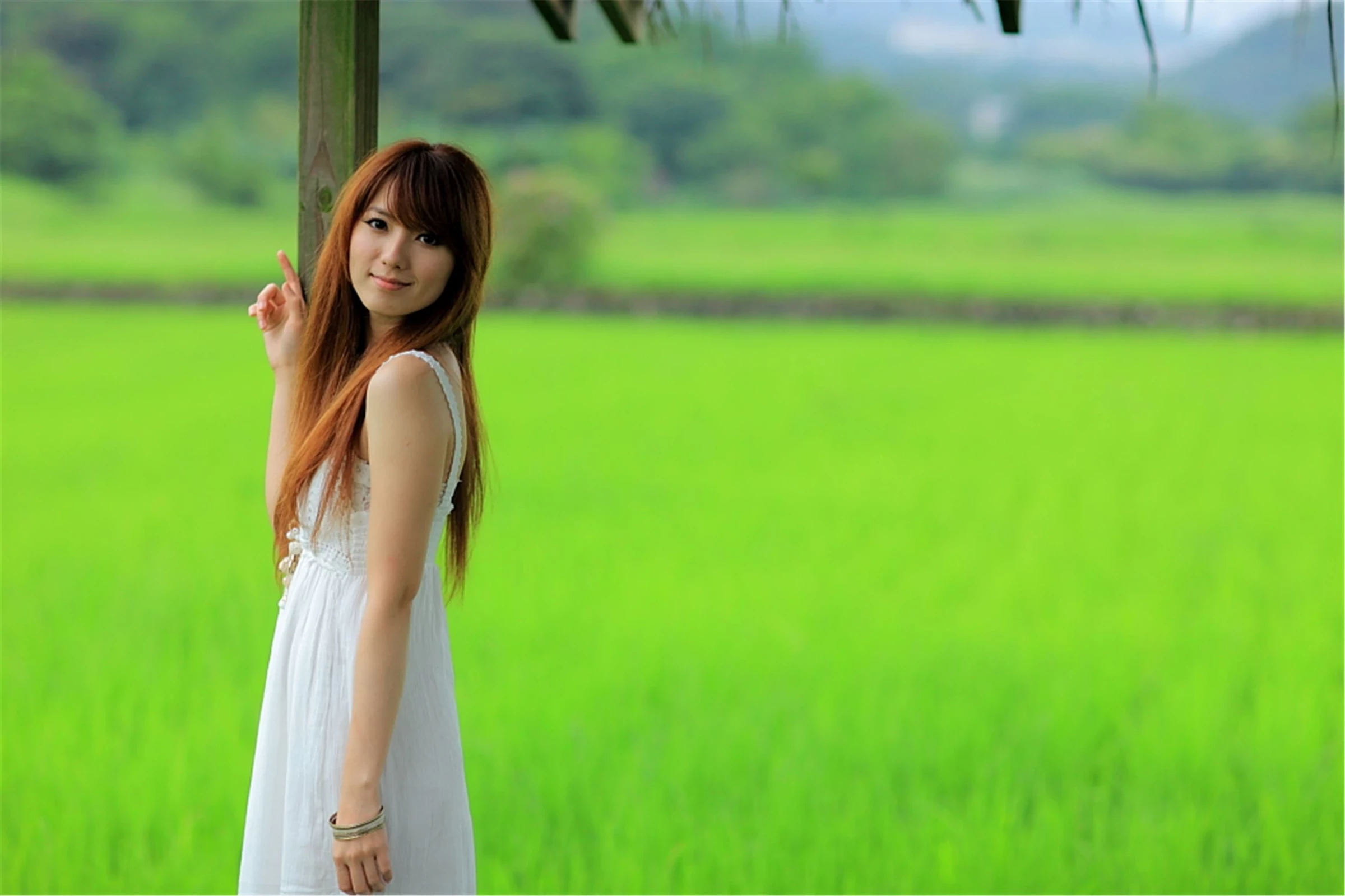 30743049.webp