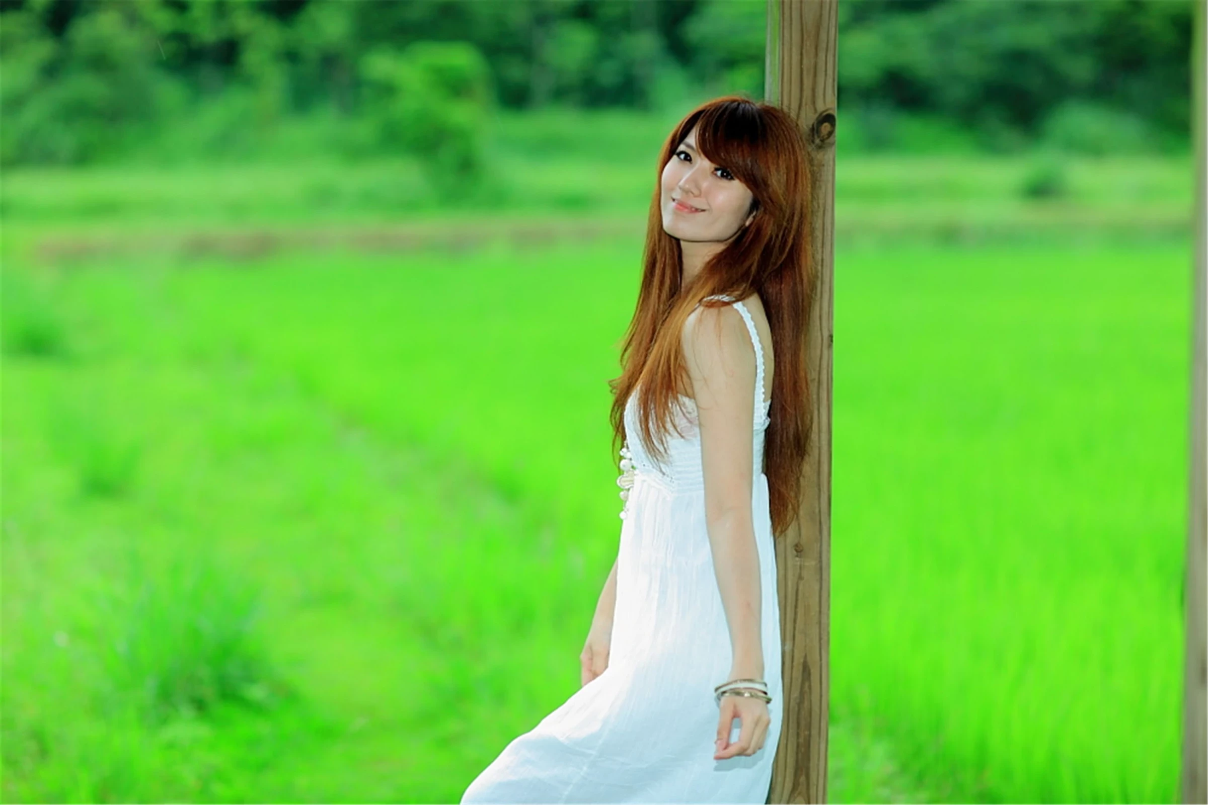 30743052.webp