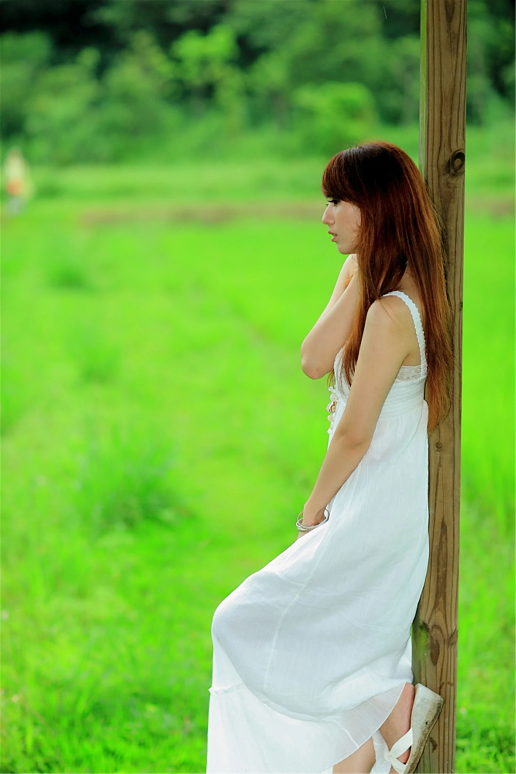 30743053.webp
