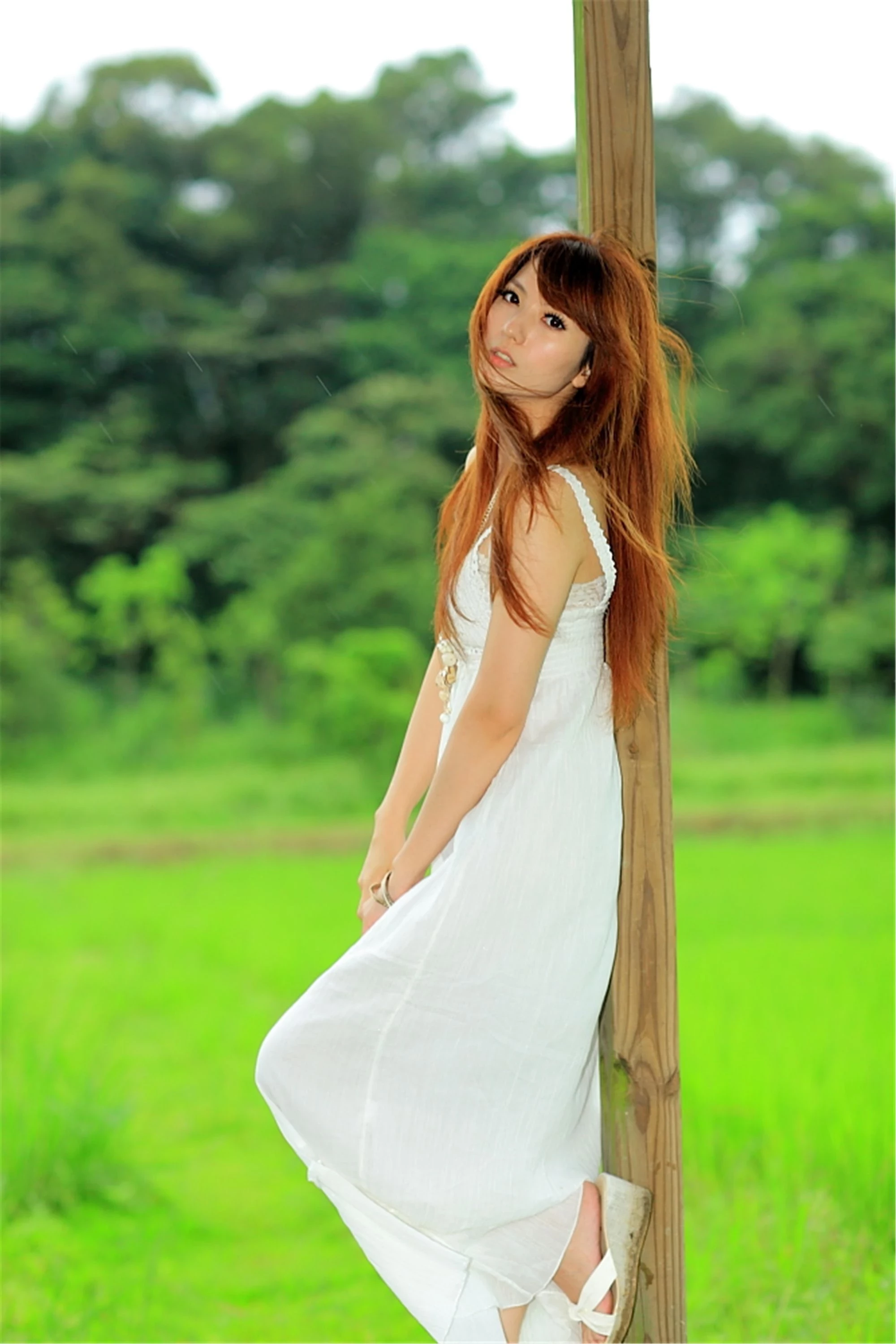 30743054.webp