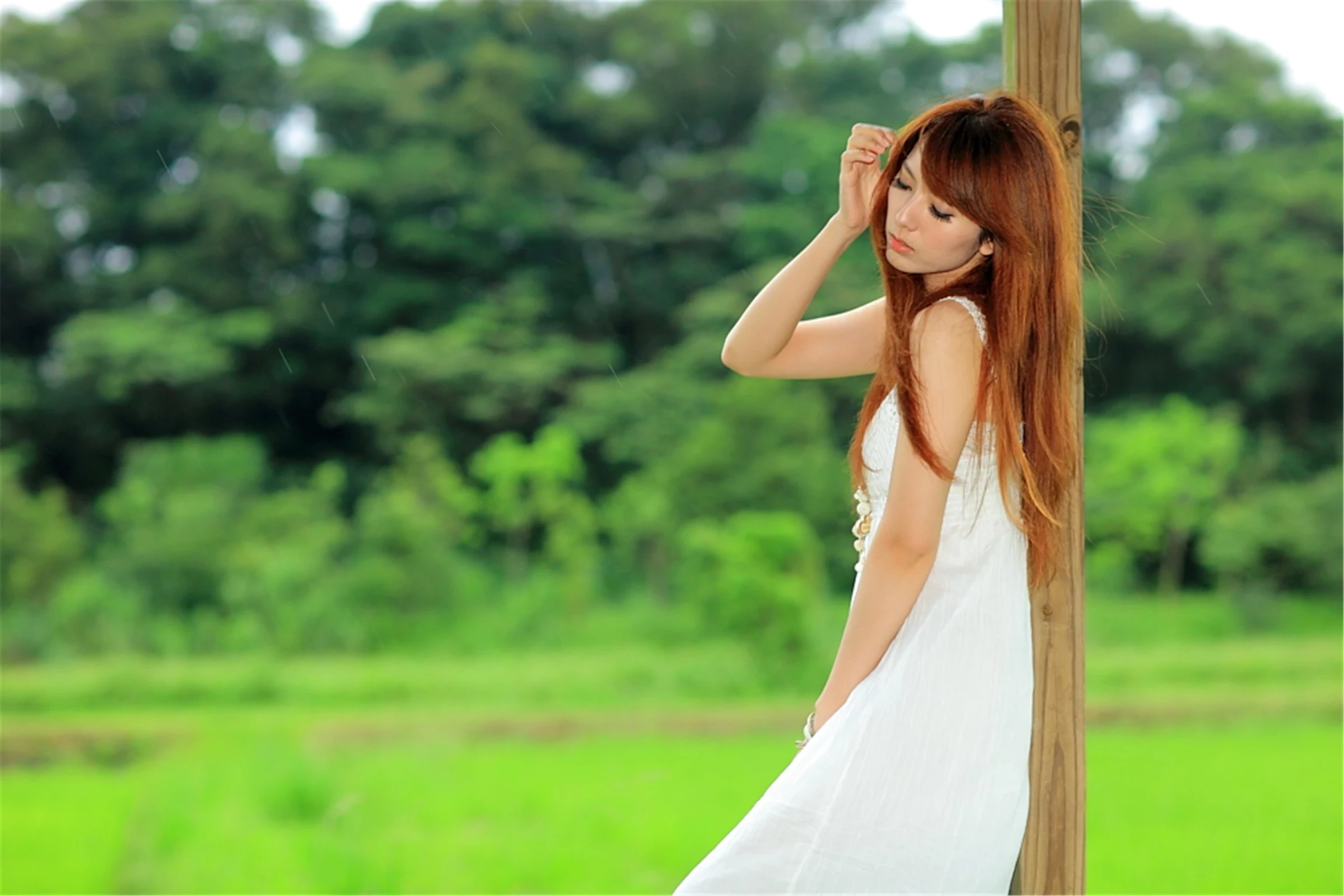 30743056.webp